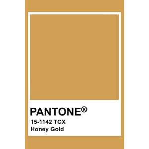 Adult's Honey Gold Baggy Pants-More Than A Fling-Modern Rascals