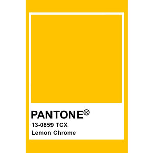 Adult's Lemon Chrome Baggy Pants-More Than A Fling-Modern Rascals