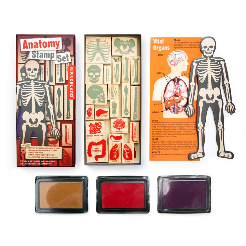 Anatomy Stamp Set-Huckleberry-Modern Rascals