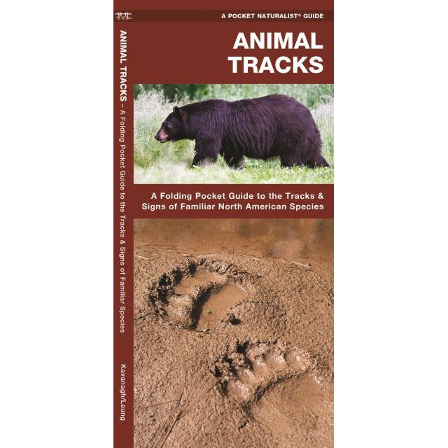 Animal Tracks-National Book Network-Modern Rascals
