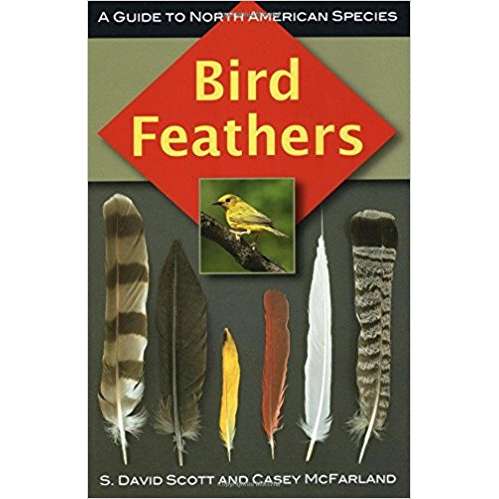 Bird Feathers - a Guide to North American Bird Species-S. David Scott-Modern Rascals