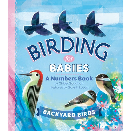 Birding for Babies - a Numbers Book-Penguin Random House-Modern Rascals