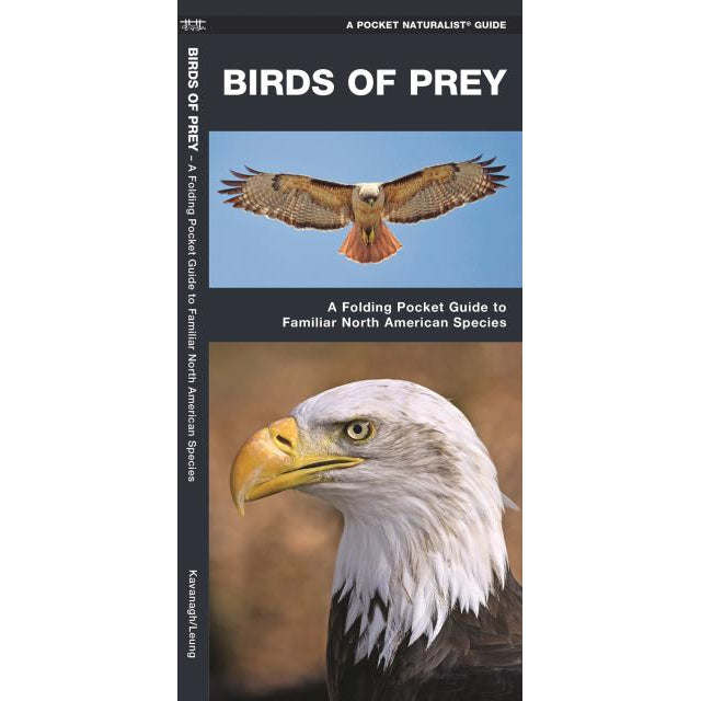 Birds of Prey-National Book Network-Modern Rascals