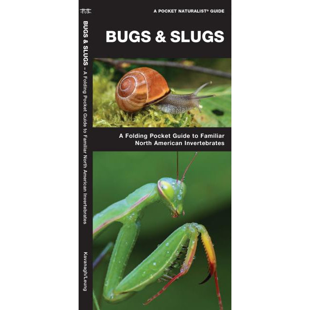 Bugs and Slugs-National Book Network-Modern Rascals