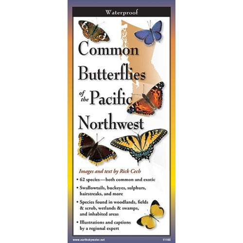 Butterflies of the Pacific Northwest - Folding Guide-Nimbus Publishing-Modern Rascals