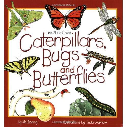 Caterpillars, Bugs and Butterflies: Take-Along Guide-National Book Network-Modern Rascals