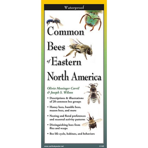 Common Bees of Eastern North America - Folding Guide-Nimbus Publishing-Modern Rascals