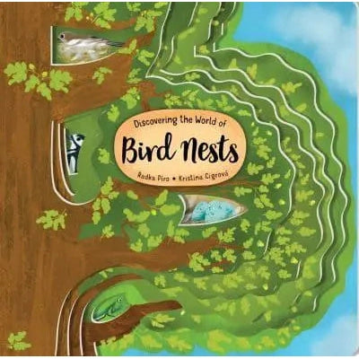 Discovering the World of Bird Nests-Firefly Books-Modern Rascals