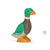 Drake Standing (Male Mallard Duck)-Holztiger-Modern Rascals