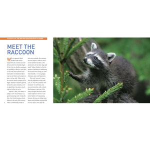Exploring the World of Raccoons-Firefly Books-Modern Rascals