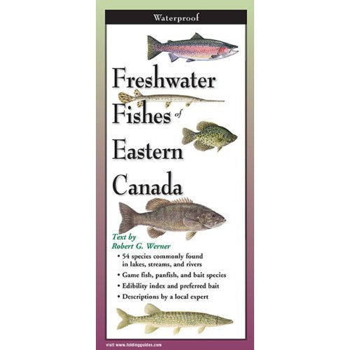 Freshwater Fishes of Eastern Canada - Folding Guide-Nimbus Publishing-Modern Rascals