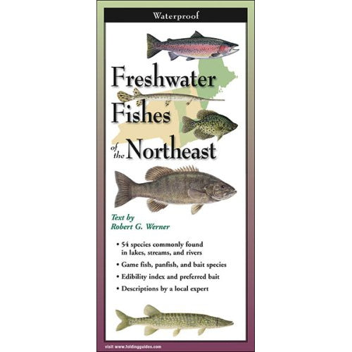 Freshwater Fishes of the Northeast - Folding Guide-Nimbus Publishing-Modern Rascals