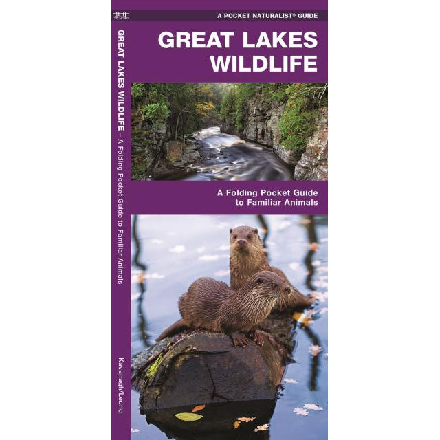 Great Lakes Wildlife-National Book Network-Modern Rascals