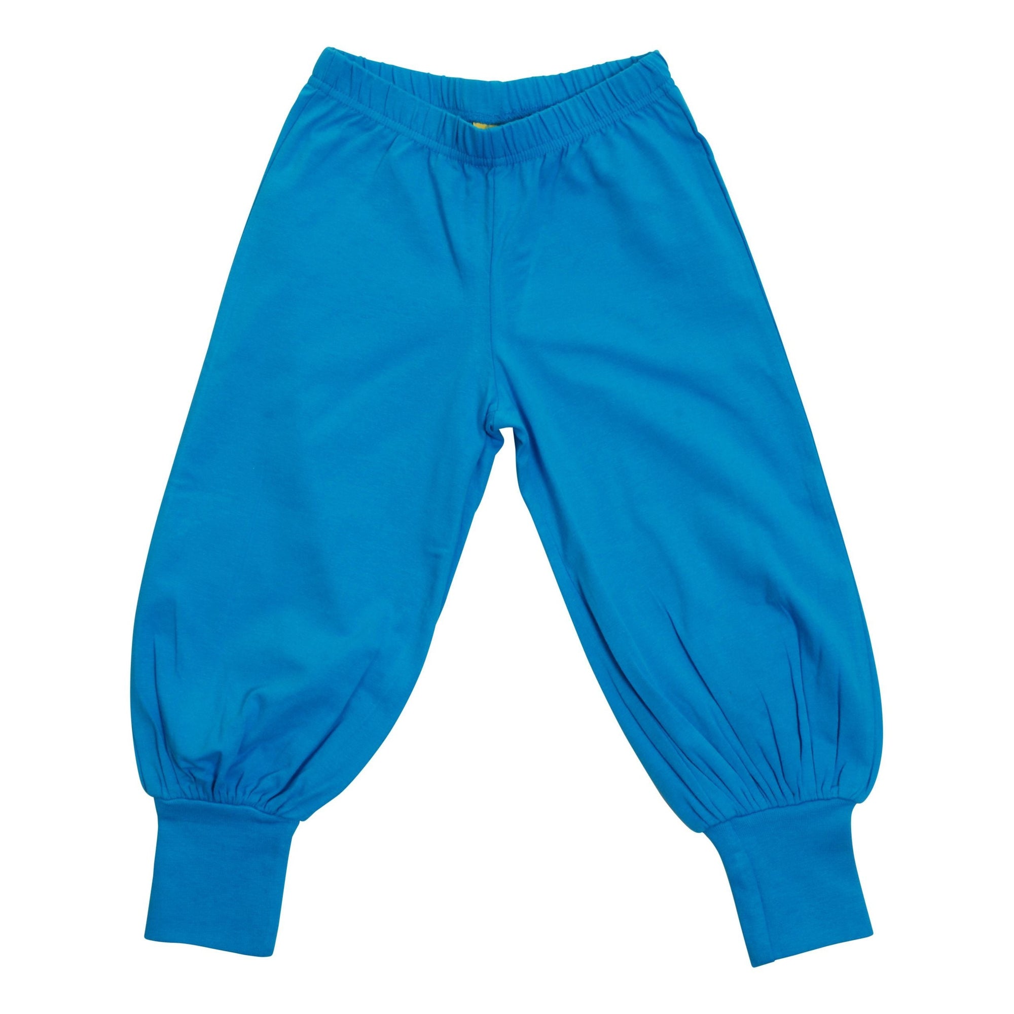 Hawaiian Blue Baggy Pants-More Than A Fling-Modern Rascals