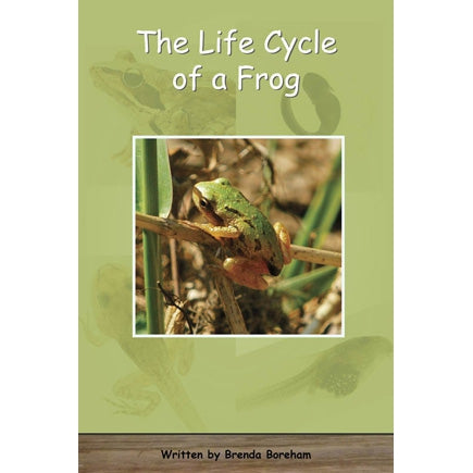 Life Cycle of a Frog-Strong Nations Publishing-Modern Rascals