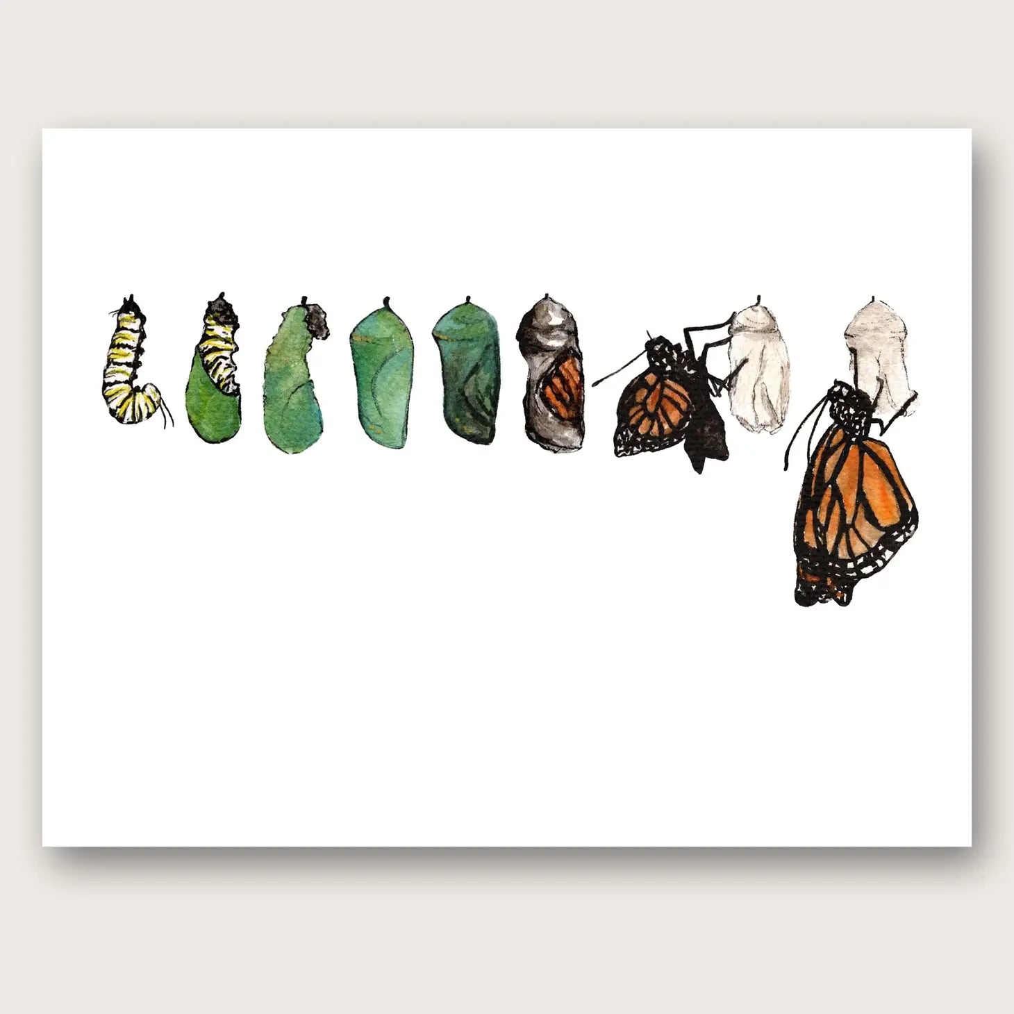 Monarch Metamorphosis - 5"x7" Art Print-Stephanie Hathaway Designs-Modern Rascals