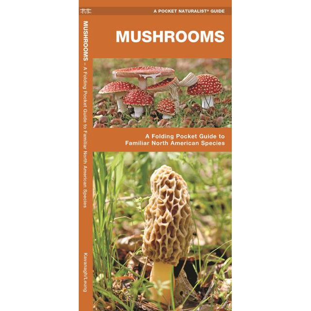 Mushrooms: A Folding Pocket Guide to Familiar North American Species-National Book Network-Modern Rascals