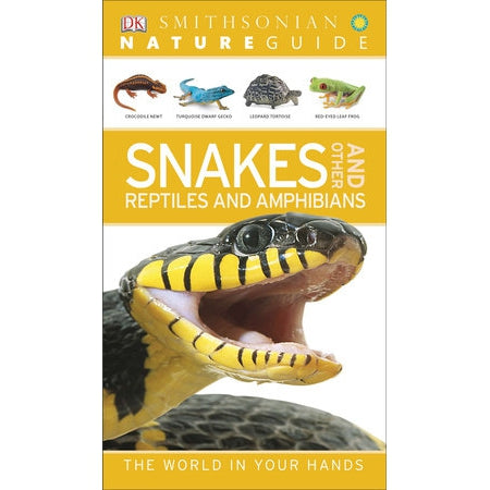 Nature Guide - Snakes and Other Reptiles and Amphibians-Penguin Random House-Modern Rascals