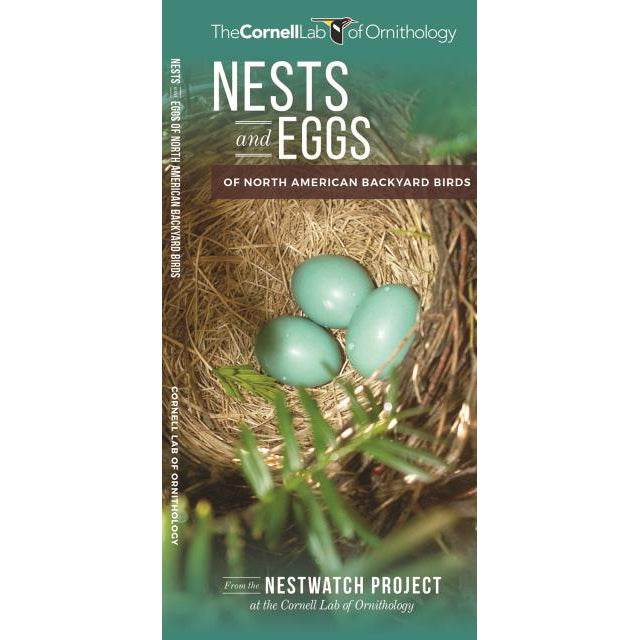 Nests and Eggs of North American Backyard Birds-National Book Network-Modern Rascals
