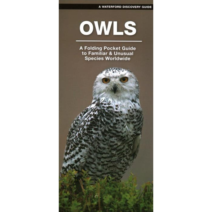 Owls-National Book Network-Modern Rascals
