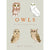 Owls-Penguin Random House-Modern Rascals