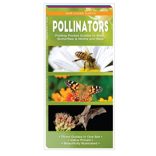 Pollinators-National Book Network-Modern Rascals