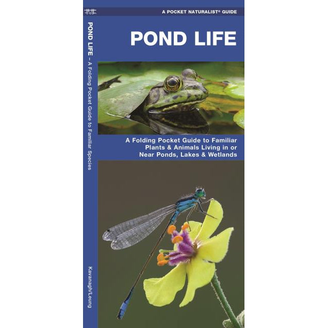 Pond Life-National Book Network-Modern Rascals