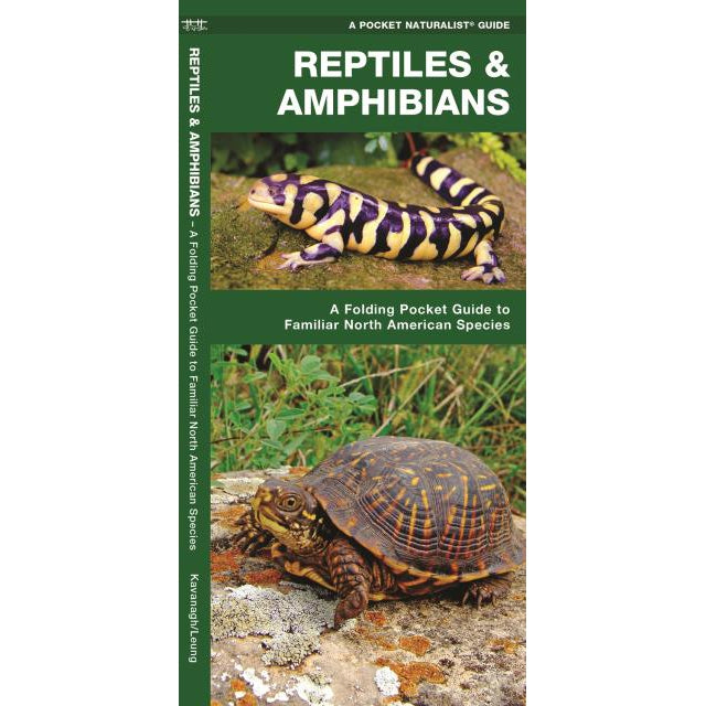 Reptiles and Amphibians: A Folding Pocket Guide to Familiar North American Species-National Book Network-Modern Rascals