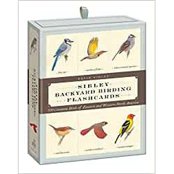 Sibley Backyard Birding Flashcards-Penguin Random House-Modern Rascals