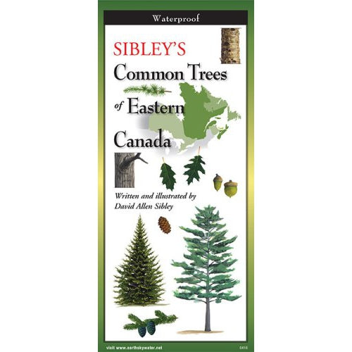 Sibley's Trees of the Eastern Canada - Folding Guide-Nimbus Publishing-Modern Rascals