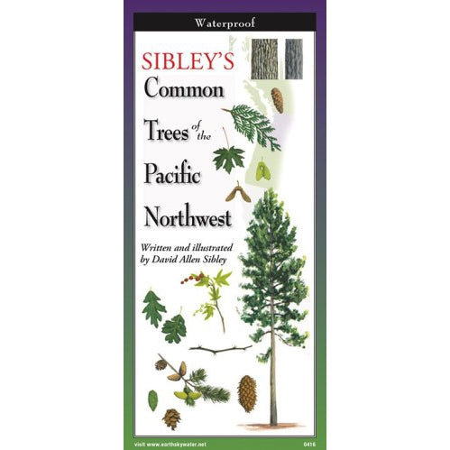 Sibley's Trees of the Pacific Northwest - Folding Guide-Nimbus Publishing-Modern Rascals