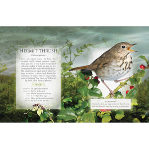 The Little Book of Woodland Bird Songs-Firefly Books-Modern Rascals