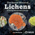 The Secret World of Lichens - a Young Naturalist's Guide-Firefly Books-Modern Rascals