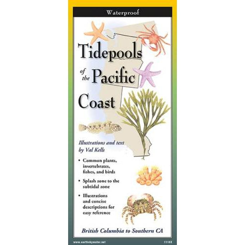 Tidepools of the Pacific Northwest - Folding Guide-Nimbus Publishing-Modern Rascals