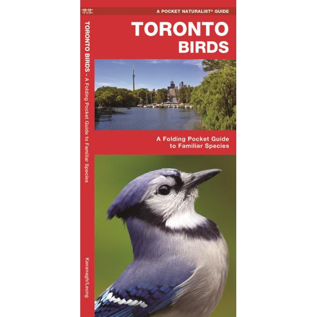 Toronto Birds-National Book Network-Modern Rascals