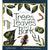 Trees, Leaves and Bark: Take-Along Guide-National Book Network-Modern Rascals