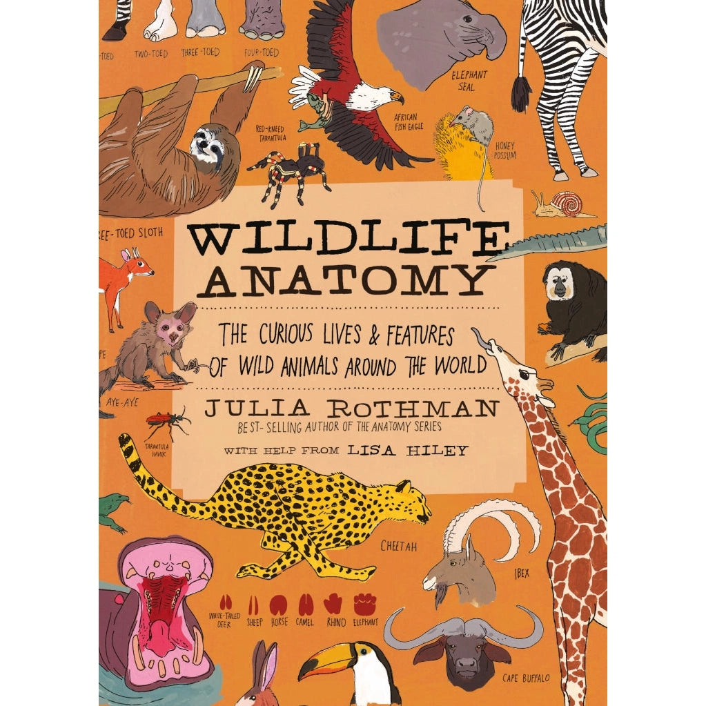 Wildlife Anatomy-Hatchette Group-Modern Rascals